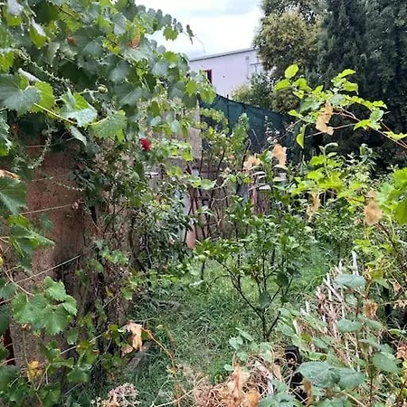 Friendly Dogs House Apartman Tirana