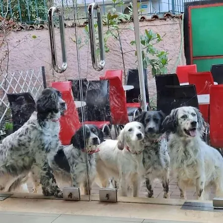 Friendly Dogs House Apartman